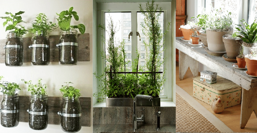 Blog Urban Cultivator, Indoor Gardening Ideas