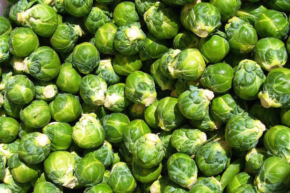 brussels_sprout_closeup-3896052